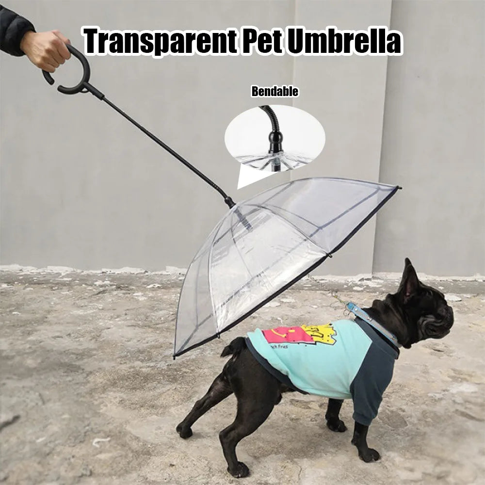 New Transparent Pet Umbrella Well Made Detachable Adjustable Rainy Day Outdoor Dog Walking Leash for Small Dogs Pet Supplies