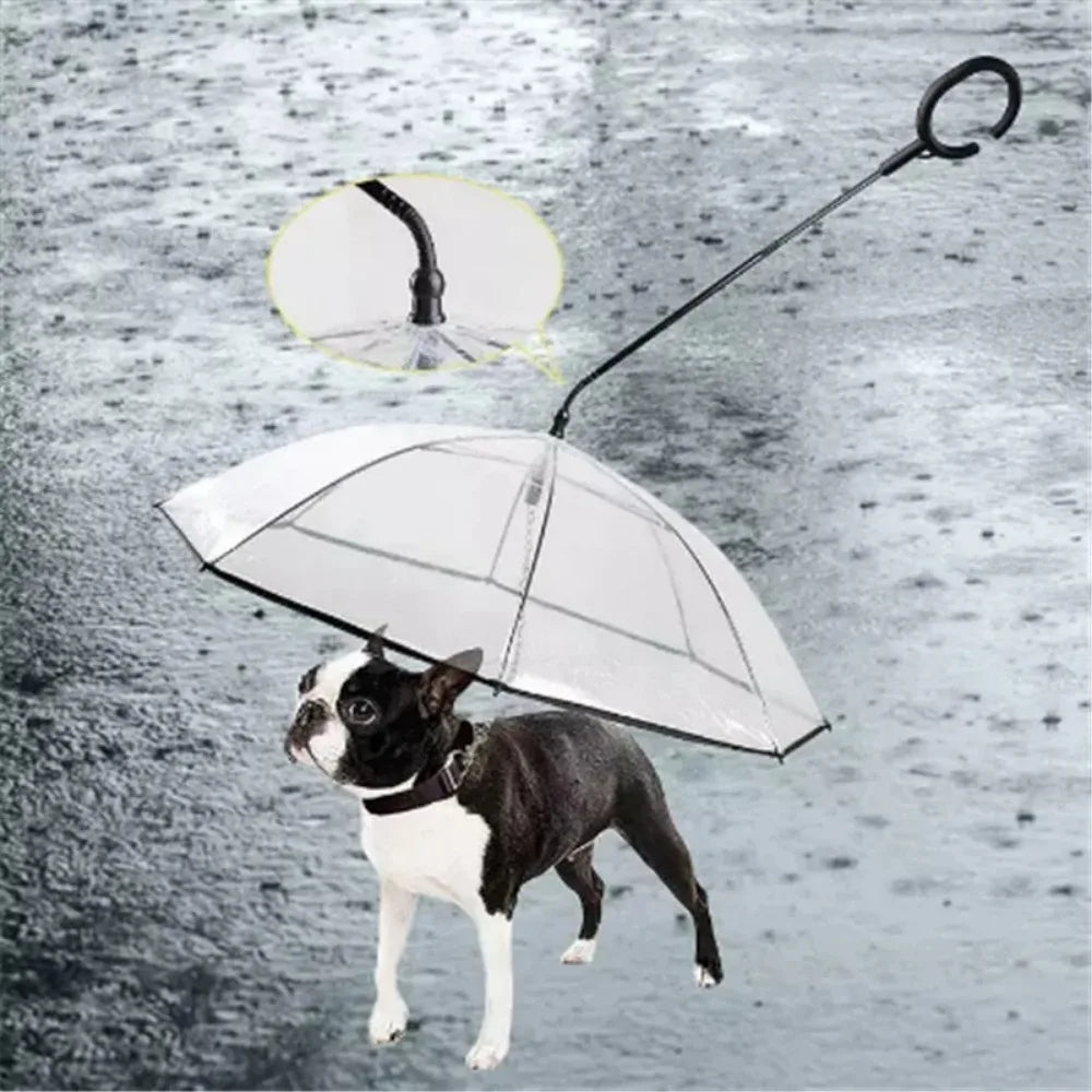 New Transparent Pet Umbrella Well Made Detachable Adjustable Rainy Day Outdoor Dog Walking Leash for Small Dogs Pet Supplies