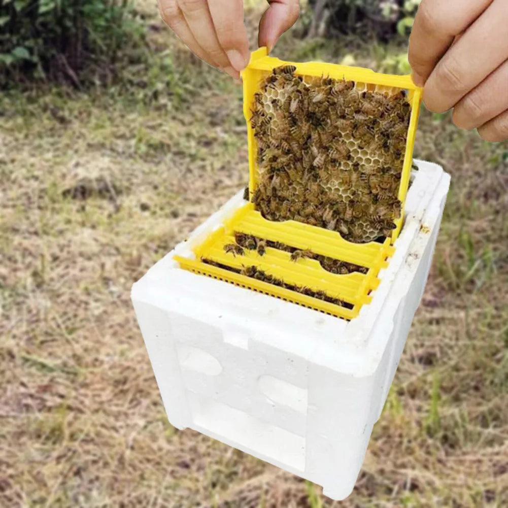 Foam Bee Box Versatile Queen Bee Breeding Box Beekeeper Case Bee Pollination Box for Bee Mating Rearing