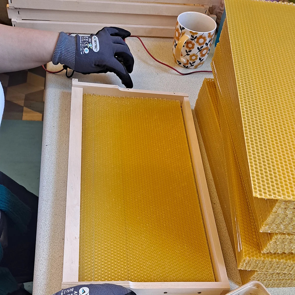 10-Piece Wooden Langstroth Beehive Frames – Square Design, Natural Wood, Beekeeping Supplies for Honey Production & Agricultural
