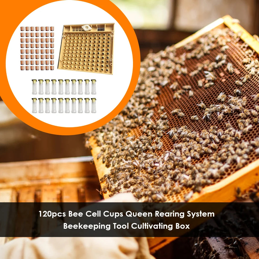 Beekeeping Tool 120pcs Plastic Cell Bee Cup Queen Rearing Kit Cultivating Box