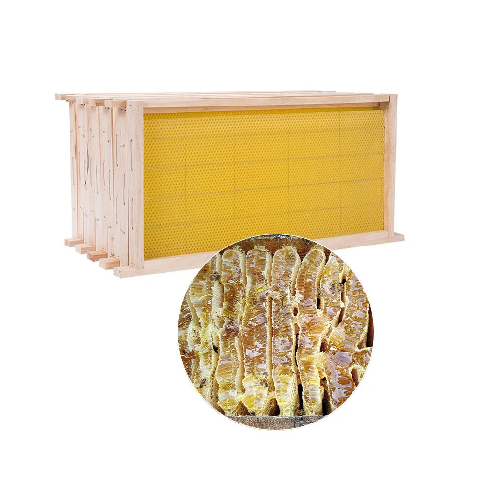 10-Piece Wooden Langstroth Beehive Frames – Square Design, Natural Wood, Beekeeping Supplies for Honey Production & Agricultural
