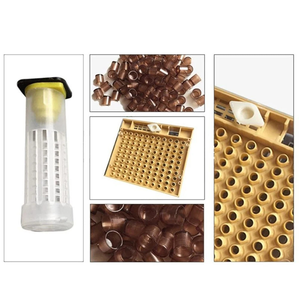 Beekeeping Tool 120pcs Plastic Cell Bee Cup Queen Rearing Kit Cultivating Box