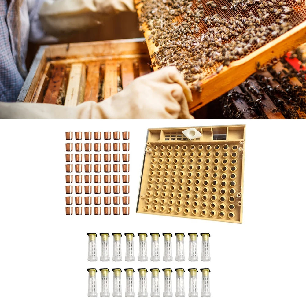 Beekeeping Tool 120pcs Plastic Cell Bee Cup Queen Rearing Kit Cultivating Box