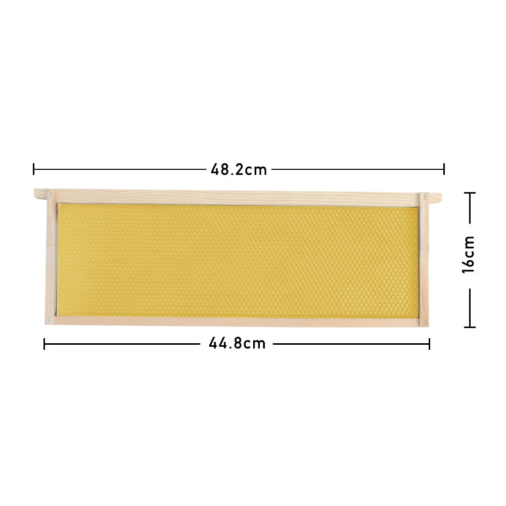10-Piece Wooden Langstroth Beehive Frames – Square Design, Natural Wood, Beekeeping Supplies for Honey Production & Agricultural
