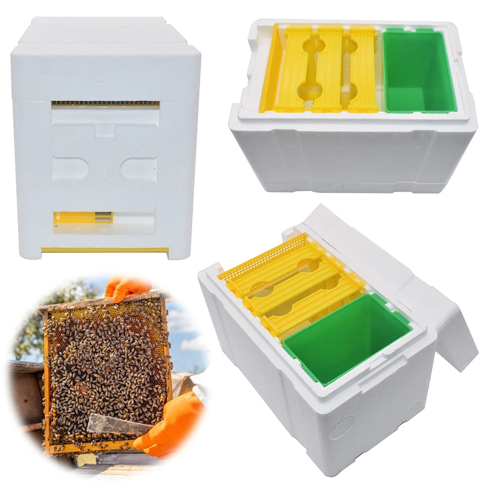 Foam Bee Box Versatile Queen Bee Breeding Box Beekeeper Case Bee Pollination Box for Bee Mating Rearing