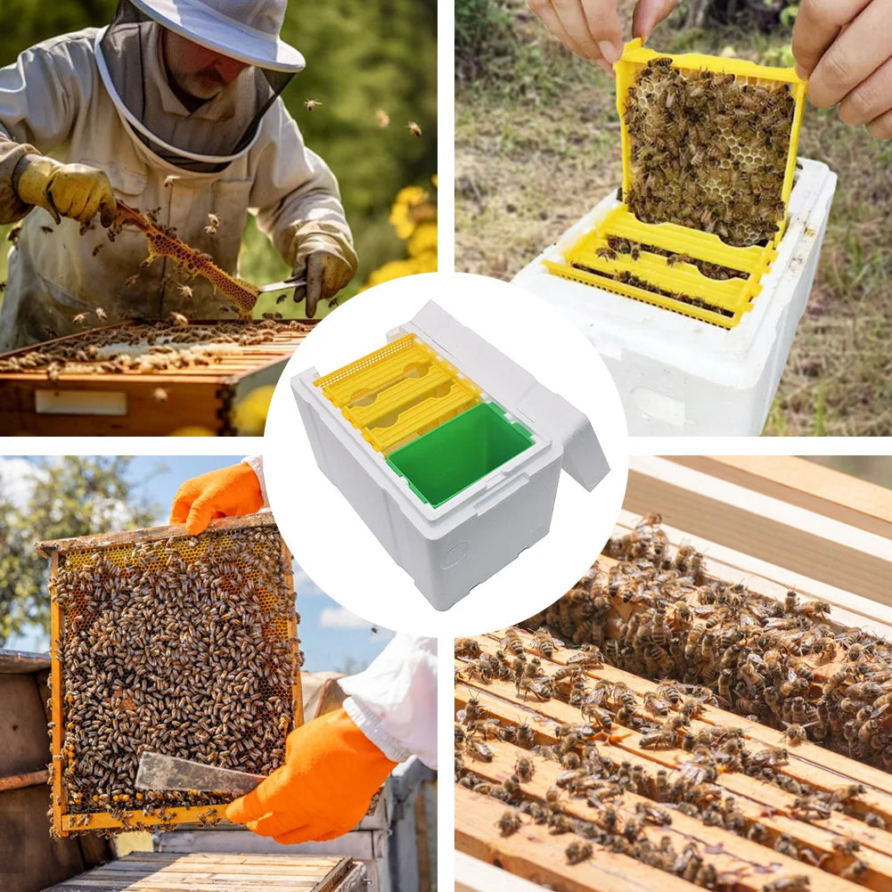 Foam Bee Box Versatile Queen Bee Breeding Box Beekeeper Case Bee Pollination Box for Bee Mating Rearing