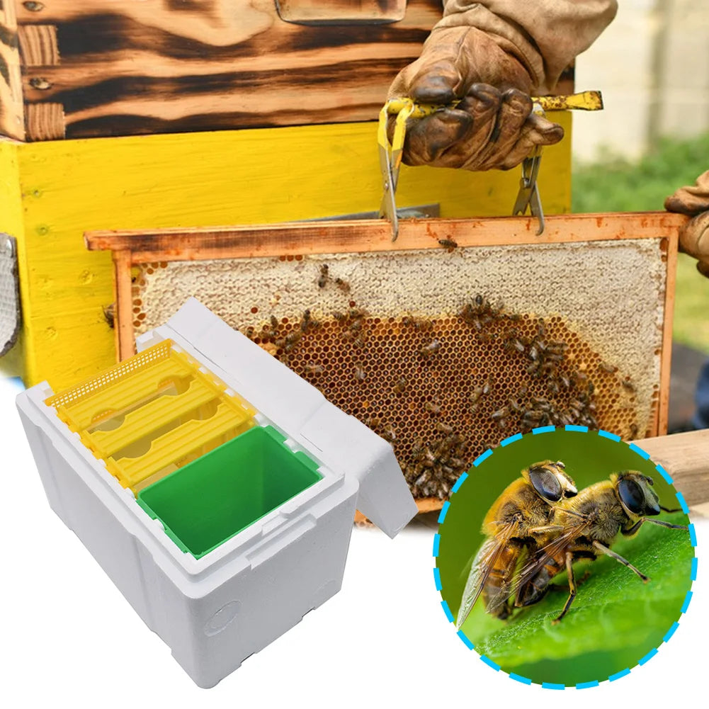 Foam Bee Box Versatile Queen Bee Breeding Box Beekeeper Case Bee Pollination Box for Bee Mating Rearing