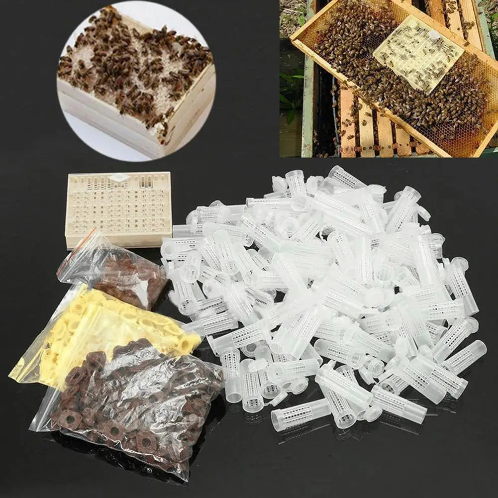 Beekeeping Tool 120pcs Plastic Cell Bee Cup Queen Rearing Kit Cultivating Box