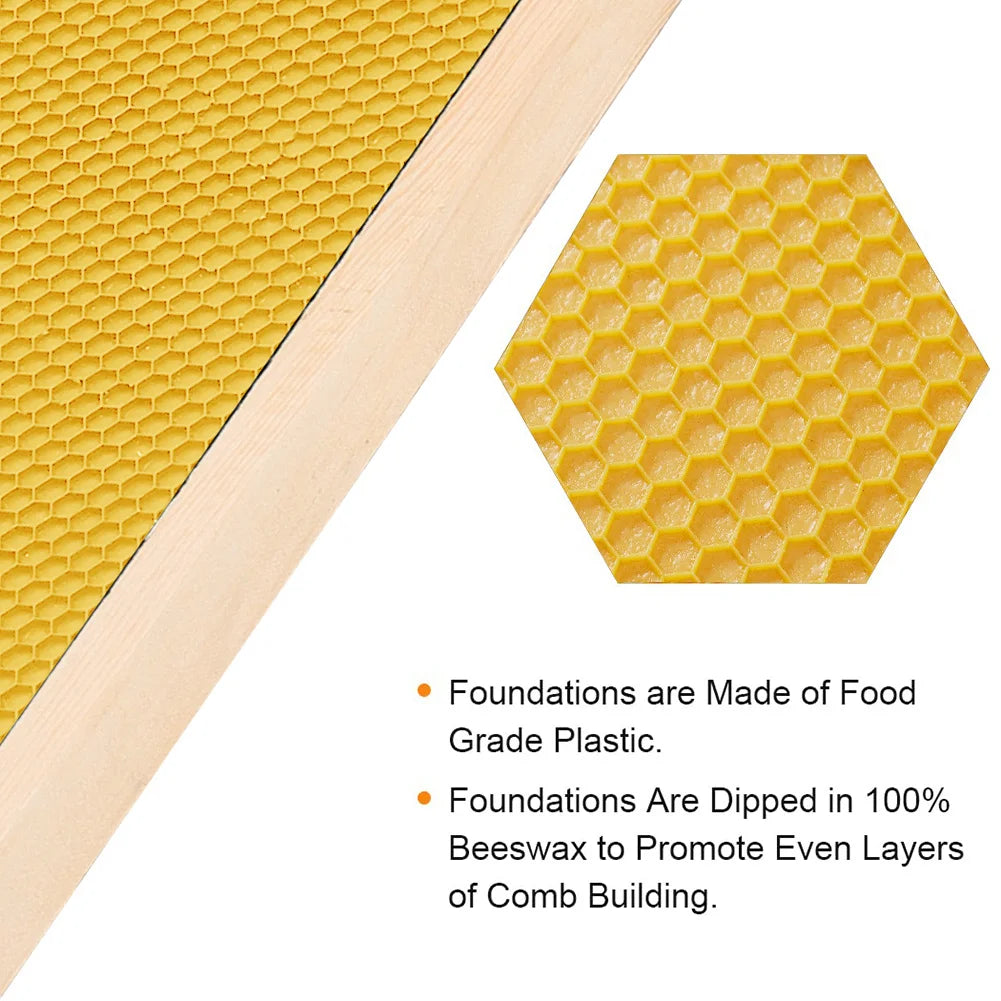 10-Piece Wooden Langstroth Beehive Frames – Square Design, Natural Wood, Beekeeping Supplies for Honey Production & Agricultural