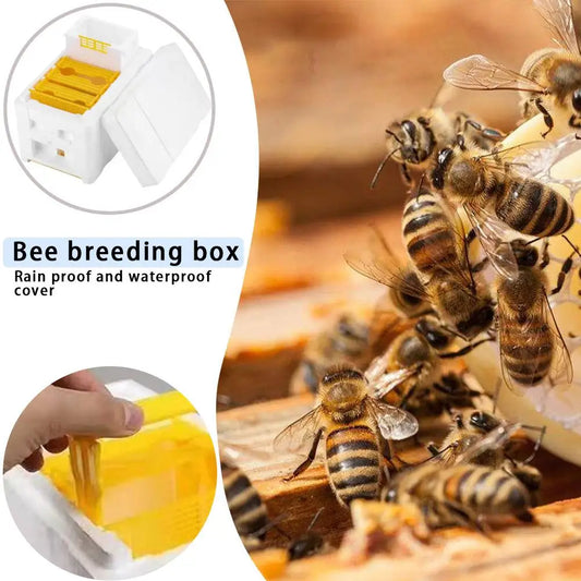 Bee Hive Foam Beekeeping Box King Beehive Garden Bee Keeping Bee Tool Nest Case