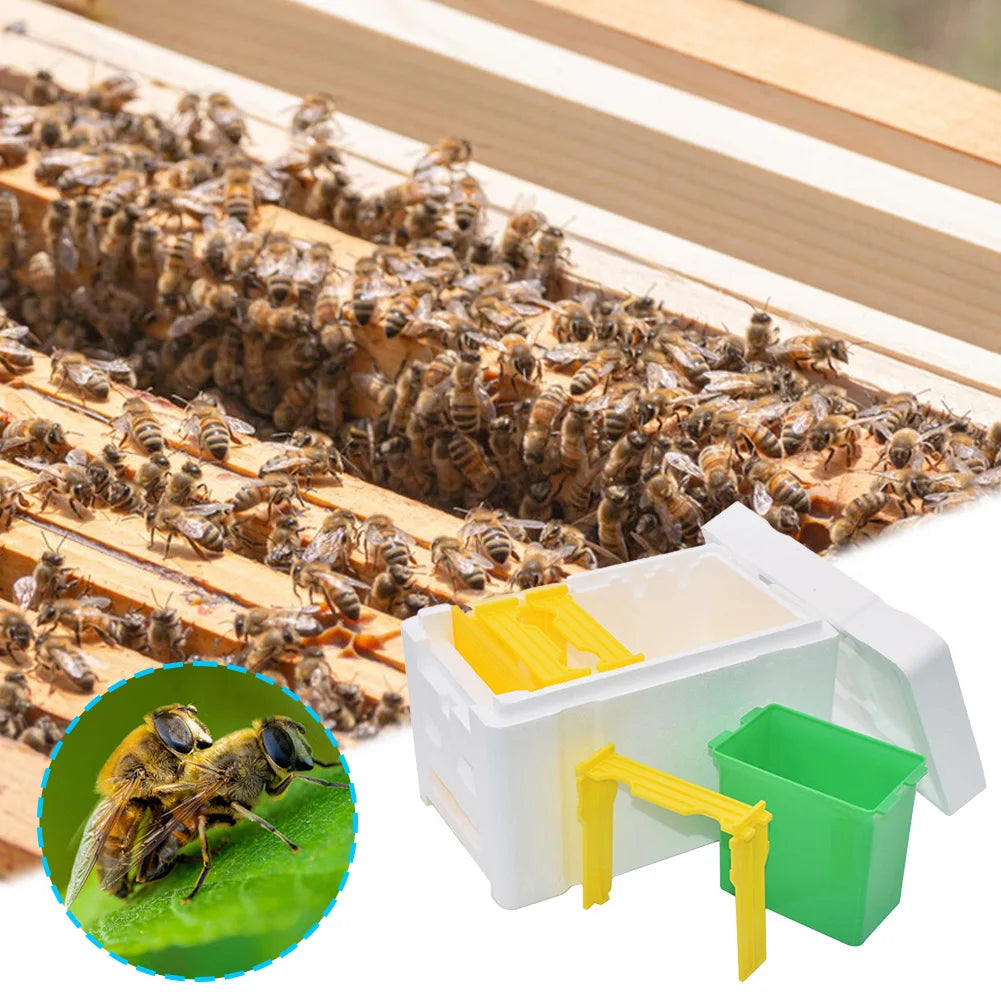 Foam Bee Box Versatile Queen Bee Breeding Box Beekeeper Case Bee Pollination Box for Bee Mating Rearing