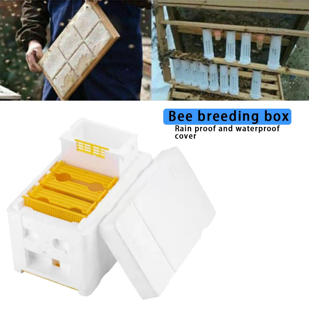 Bee Hive Foam Beekeeping Box King Beehive Garden Bee Keeping Bee Tool Nest Case