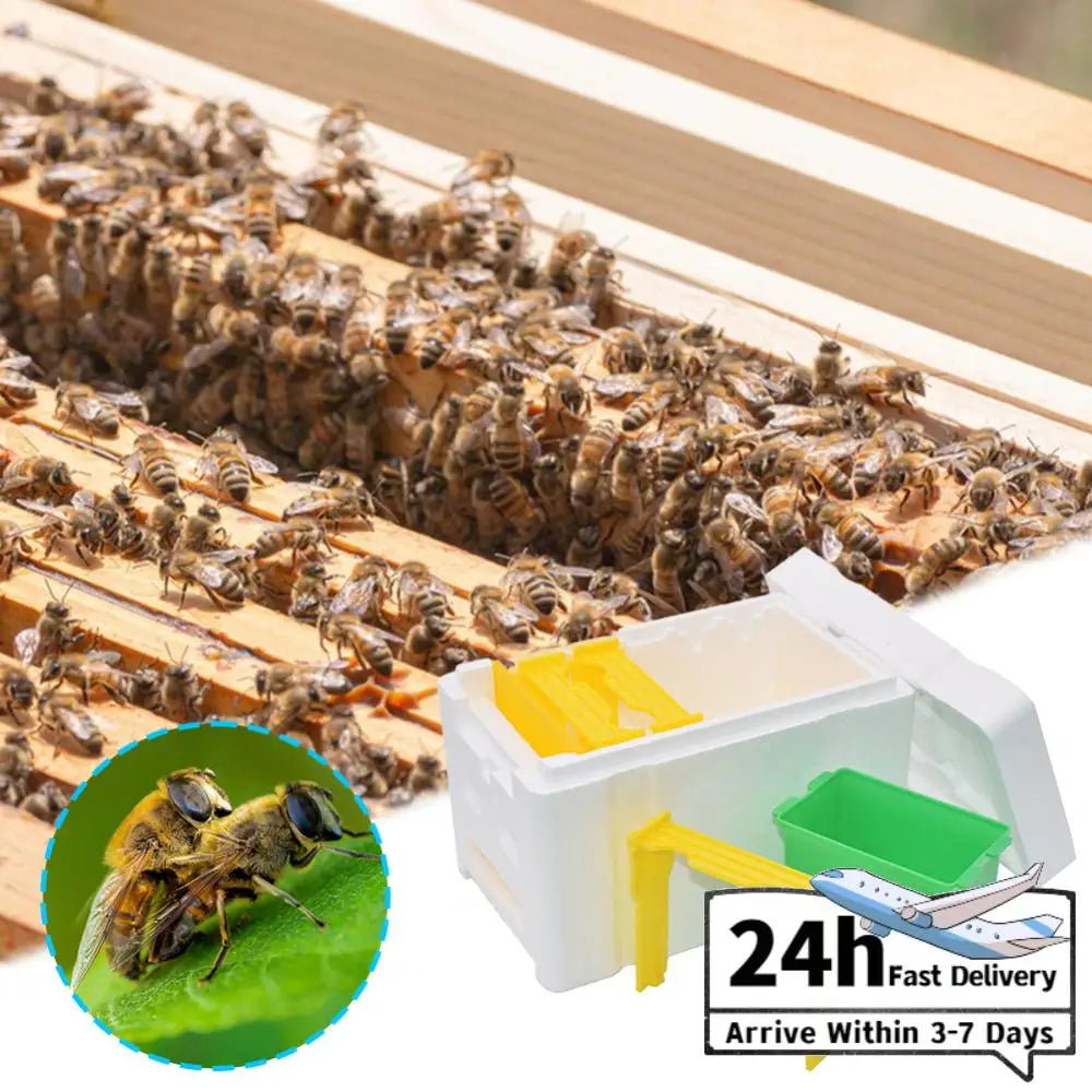 Foam Bee Box Versatile Queen Bee Breeding Box Beekeeper Case Bee Pollination Box for Bee Mating Rearing