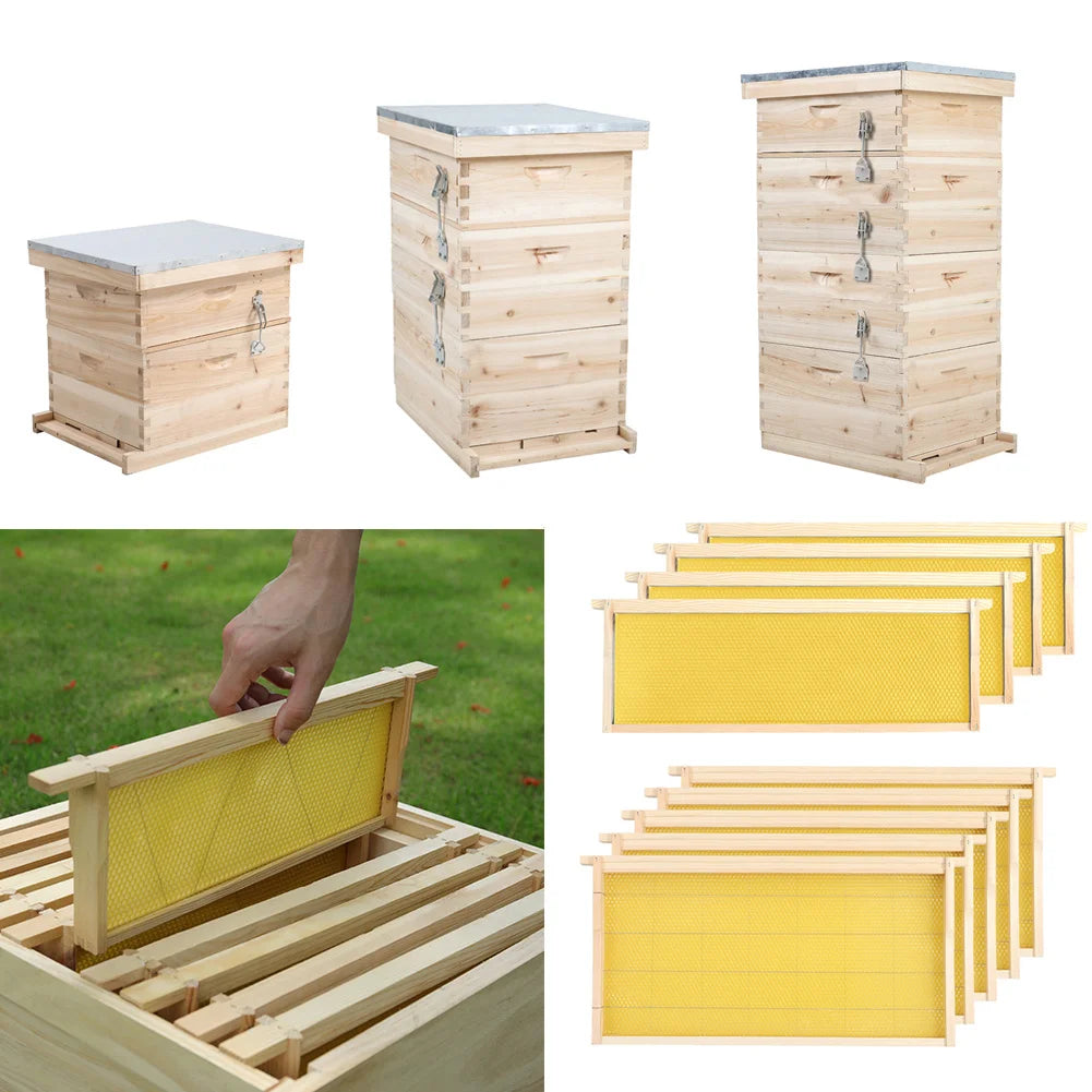 10-Piece Wooden Langstroth Beehive Frames – Square Design, Natural Wood, Beekeeping Supplies for Honey Production & Agricultural